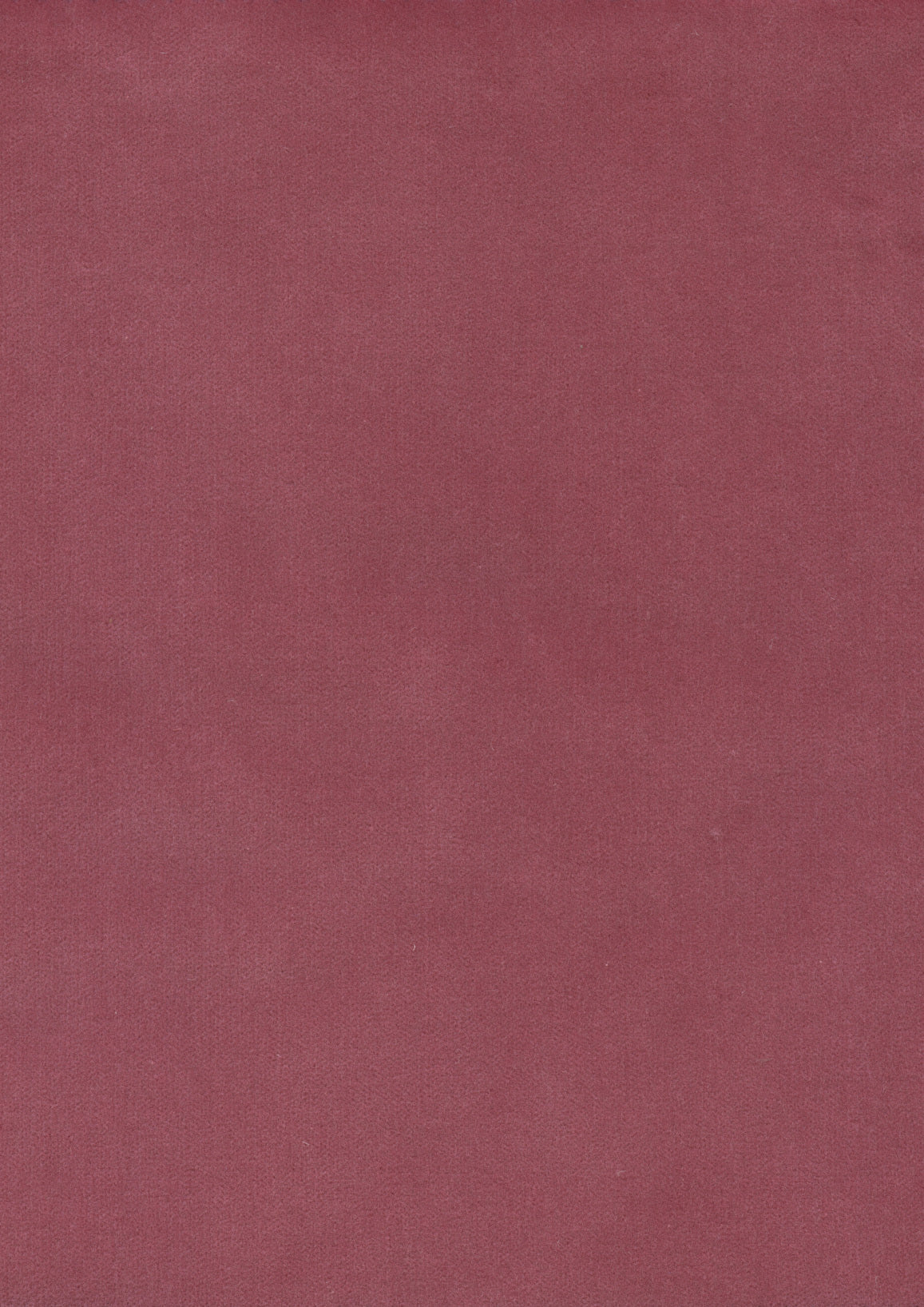 Rooksmoor Velvet Tygprov Tricia Pink