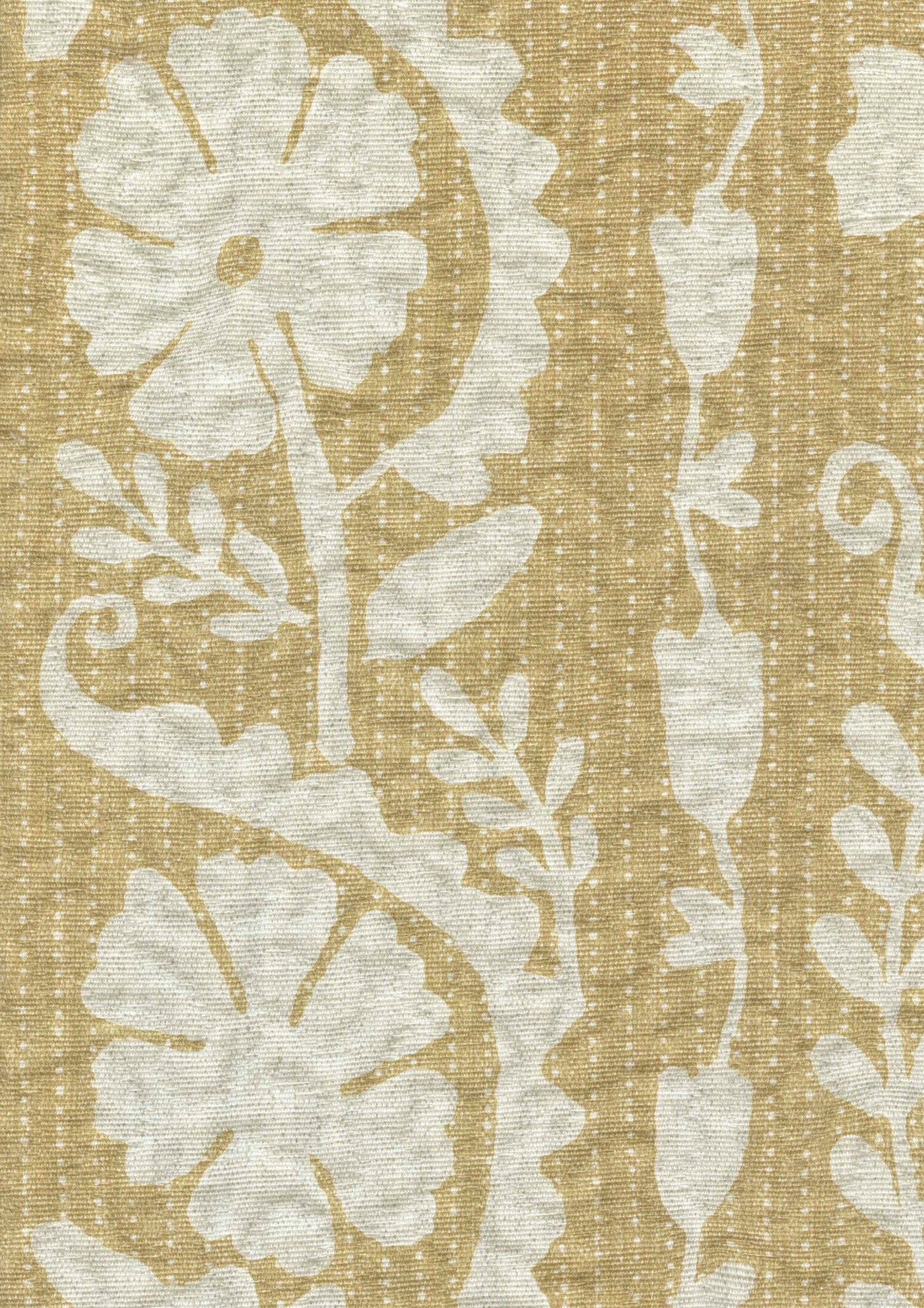 Rosetta Tygprov Saffron
