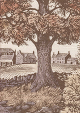 Royal Oak Tygprov Autumn