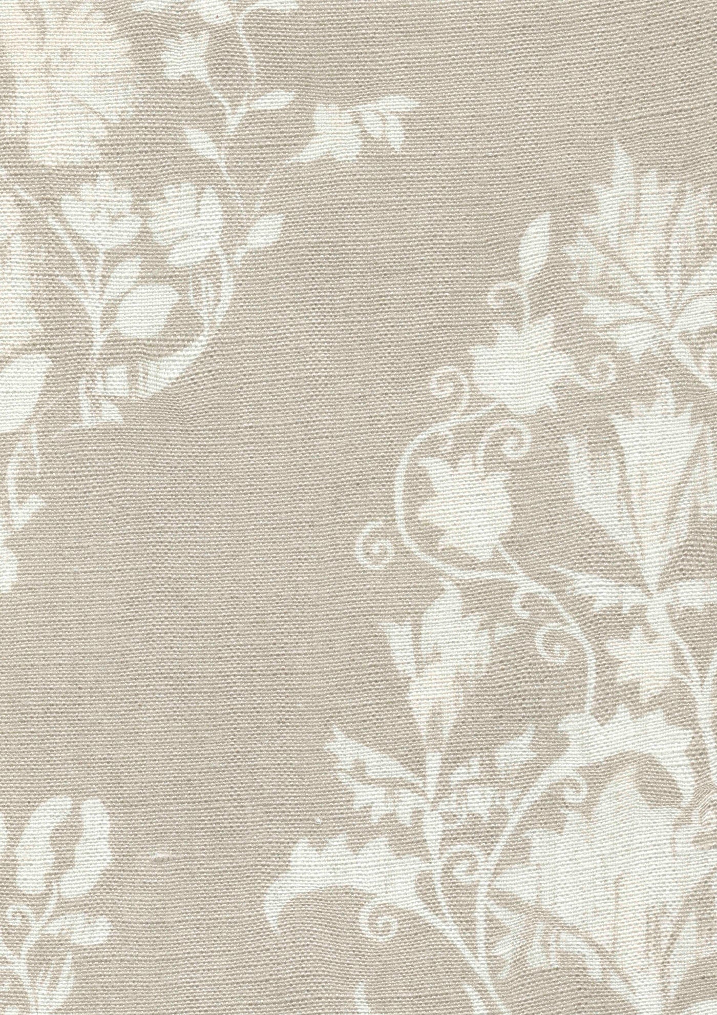Sicilia Tygprov Parchment