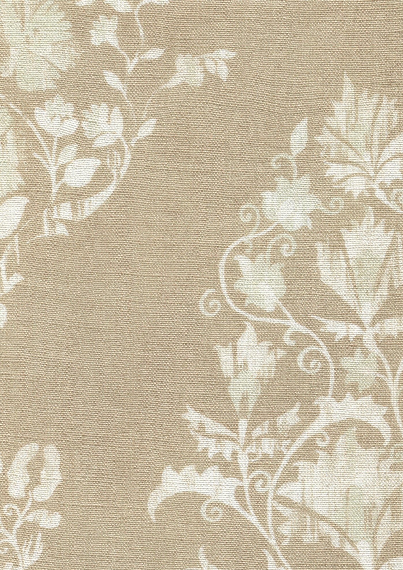 Sicilia Tygprov Sandstone