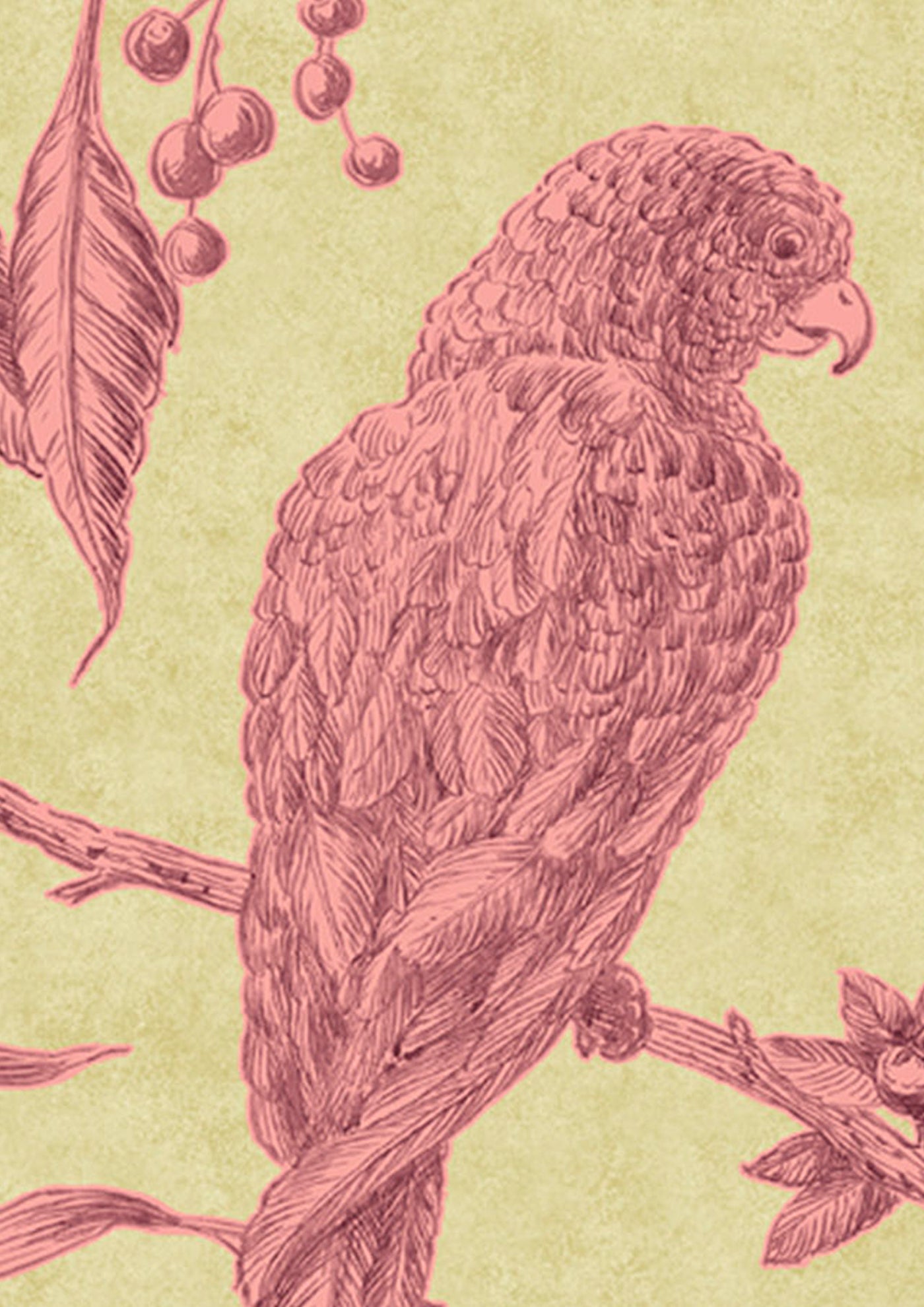 Squawk Cantaloupe — Lewis & Wood tapet
