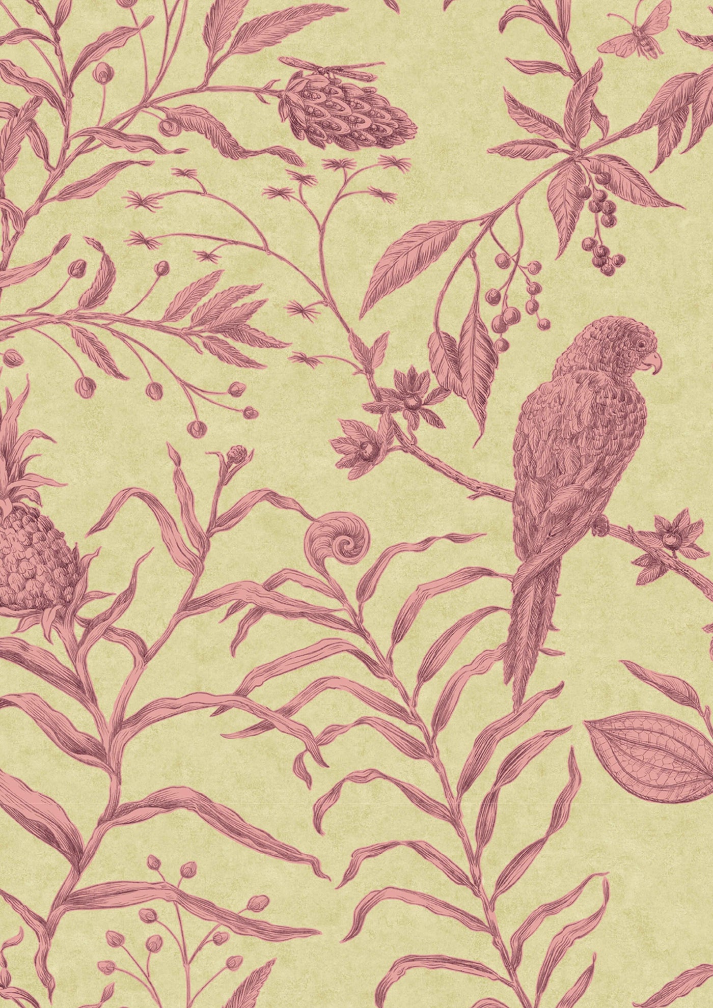 Squawk Cantaloupe — Lewis & Wood