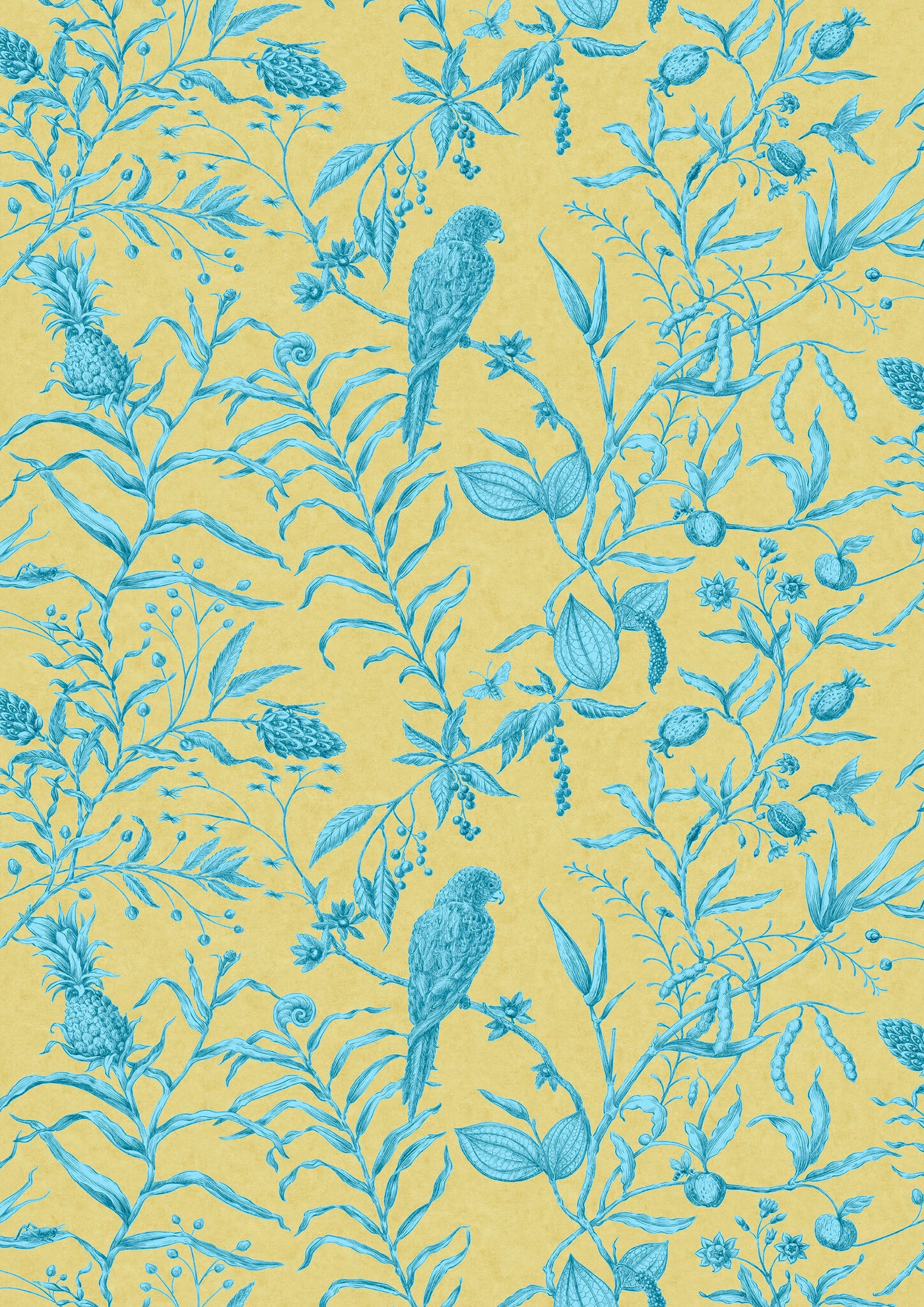 Squawk Curaçao — Lewis & Wood
