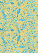 Squawk Curaçao — Lewis & Wood