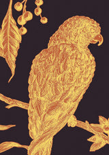 Squawk Tapetprov Ink