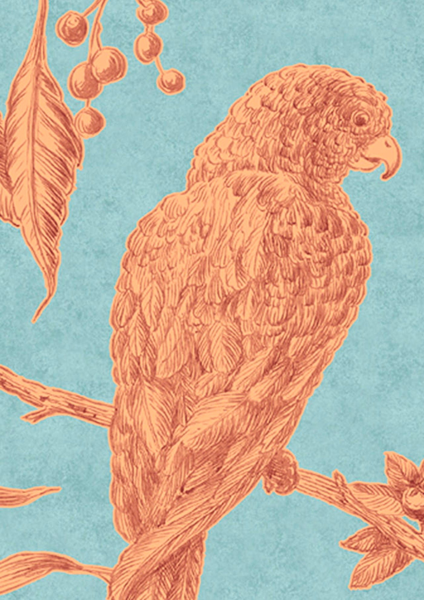 Squawk Tapetprov Jaffa