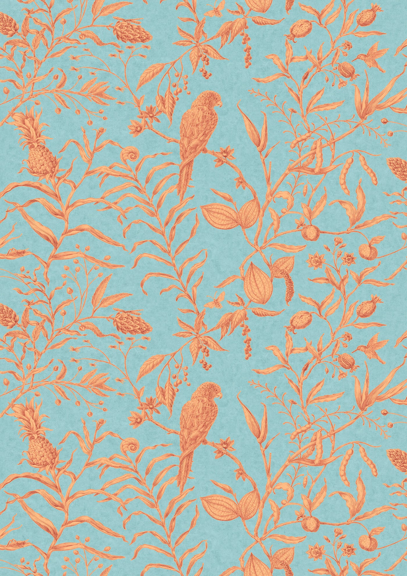 Squawk Jaffa — Lewis & Wood