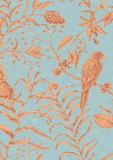 Squawk Jaffa – närbild — Lewis & Wood tapet