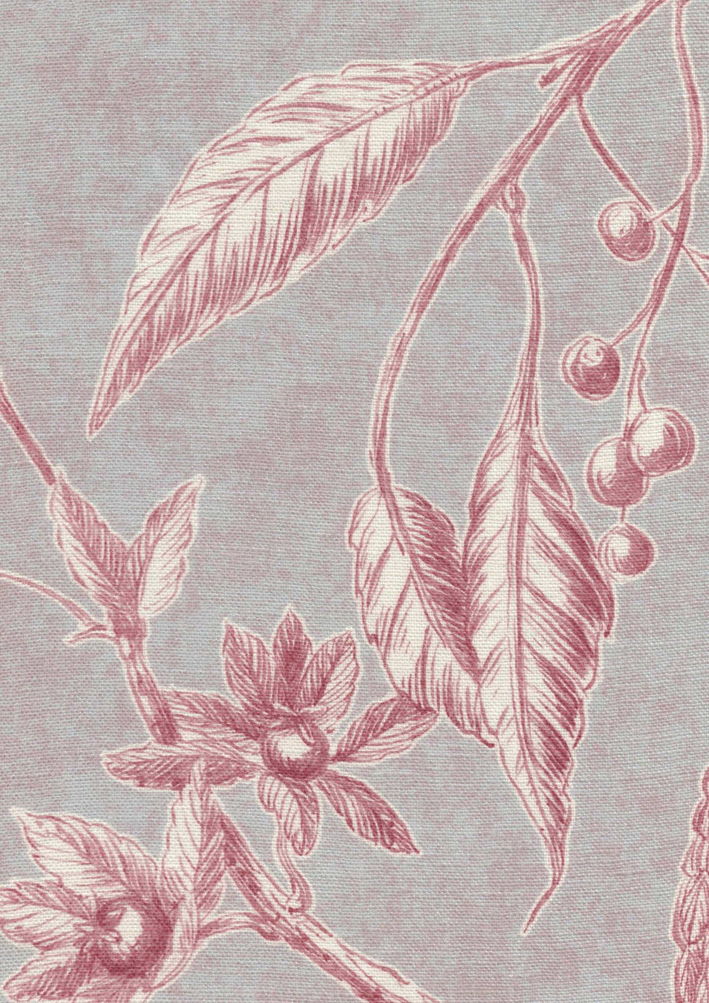 Squawk Parma Pink — Lewis & Wood tyg