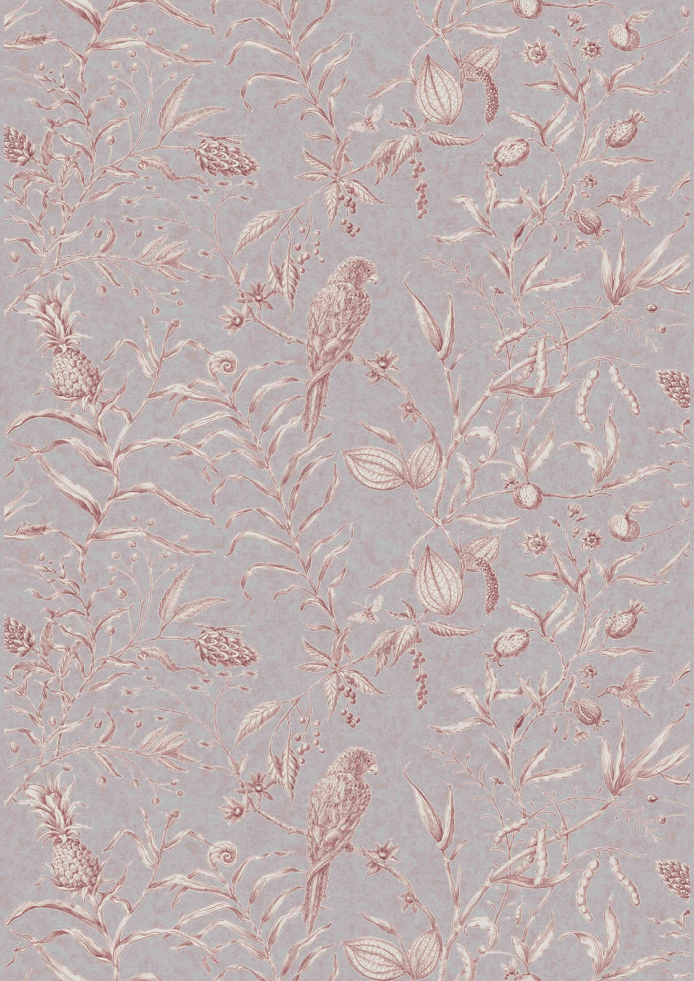 Squawk Parma Pink – hel bredd — Lewis & Wood tyg