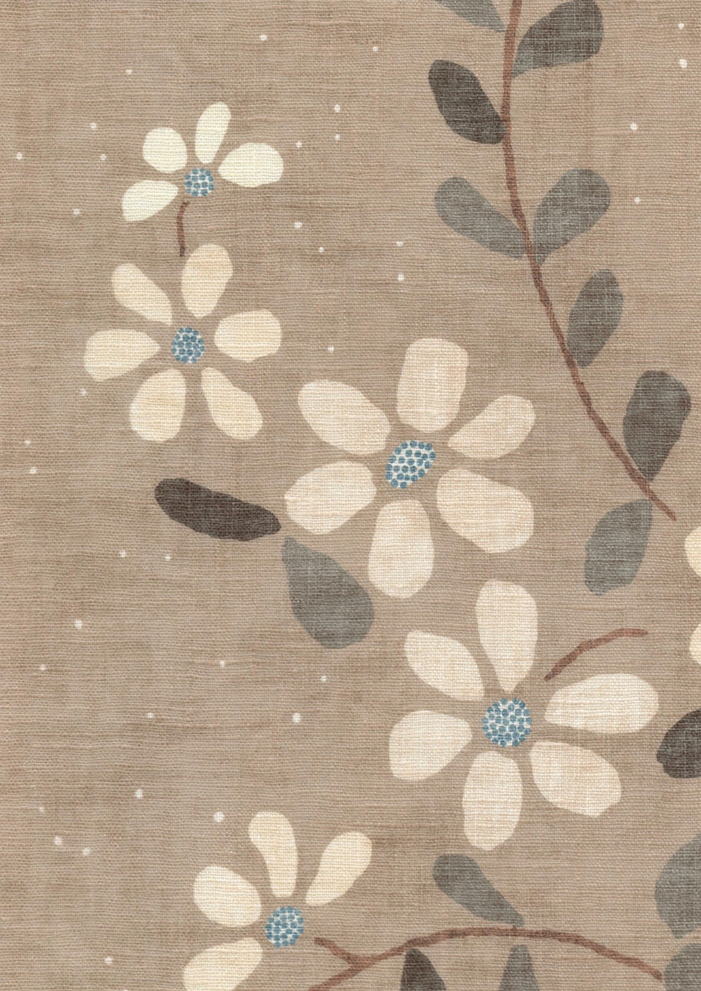 Stellata Tygprov Cardamom