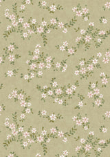 Stellata Daisy – hel bredd — Lewis & Wood tapet