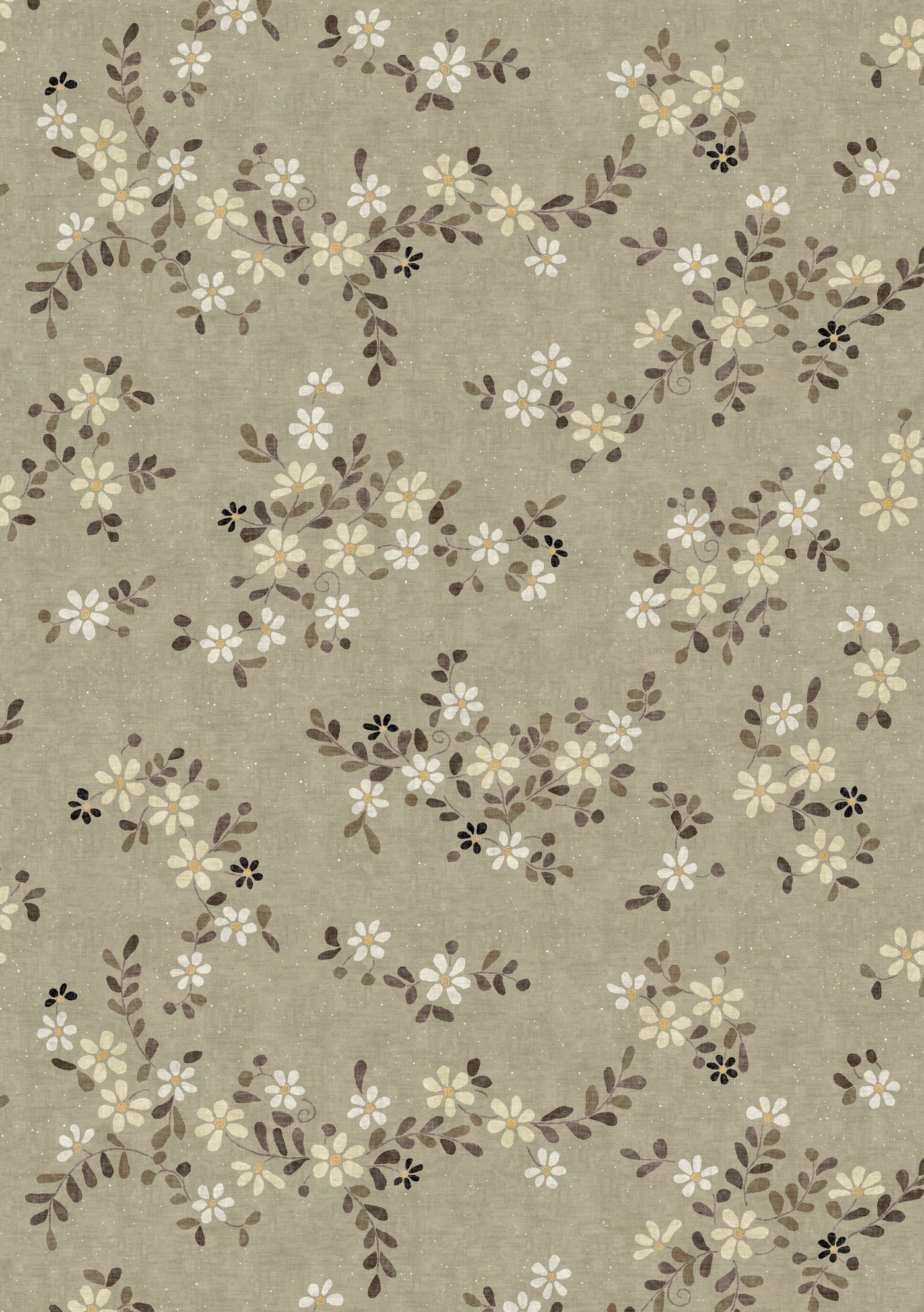 Stellata Juniper — Lewis & Wood
