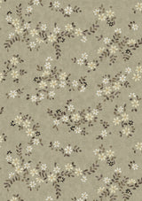 Stellata Juniper — Lewis & Wood