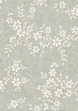 Stellata Mistletoe – närbild — Lewis & Wood tapet