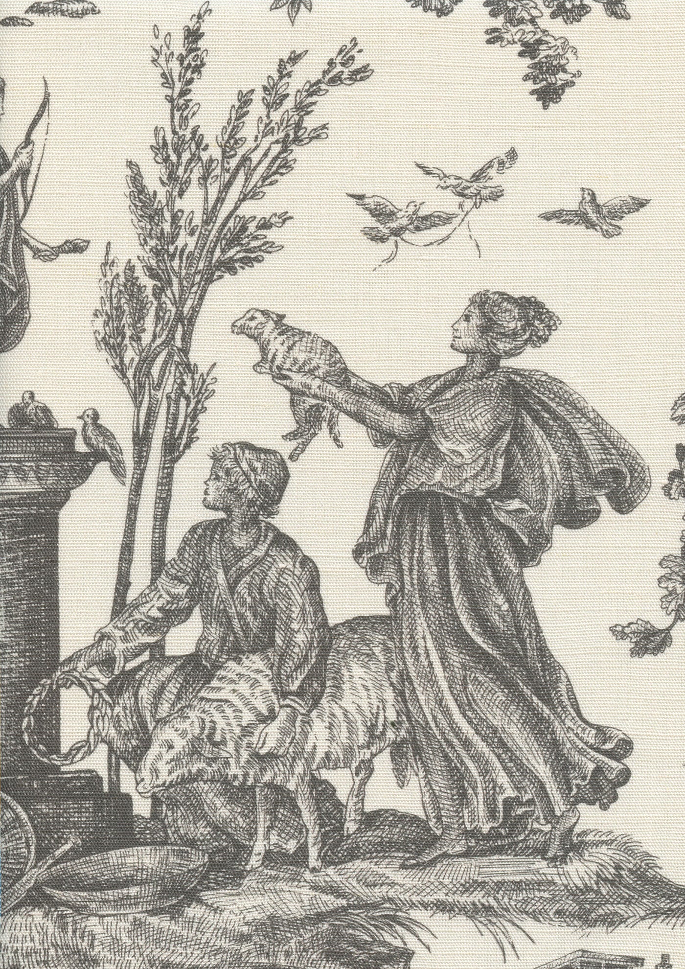 Toile Baptiste Tygprov Douce Noir