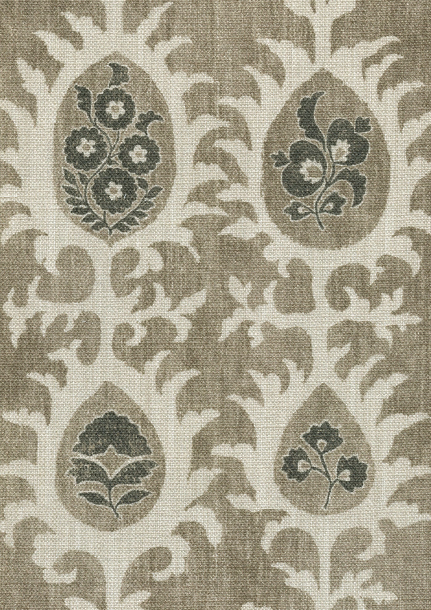 Tribal Tygprov Black Bronze