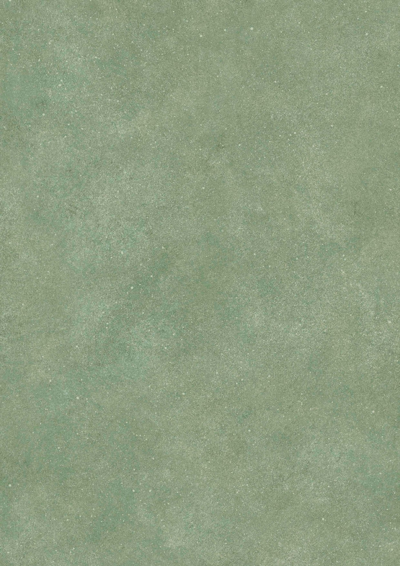Turner's Texture Tapetprov Cactus