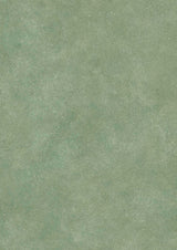 Turner's Texture Tapetprov Cactus