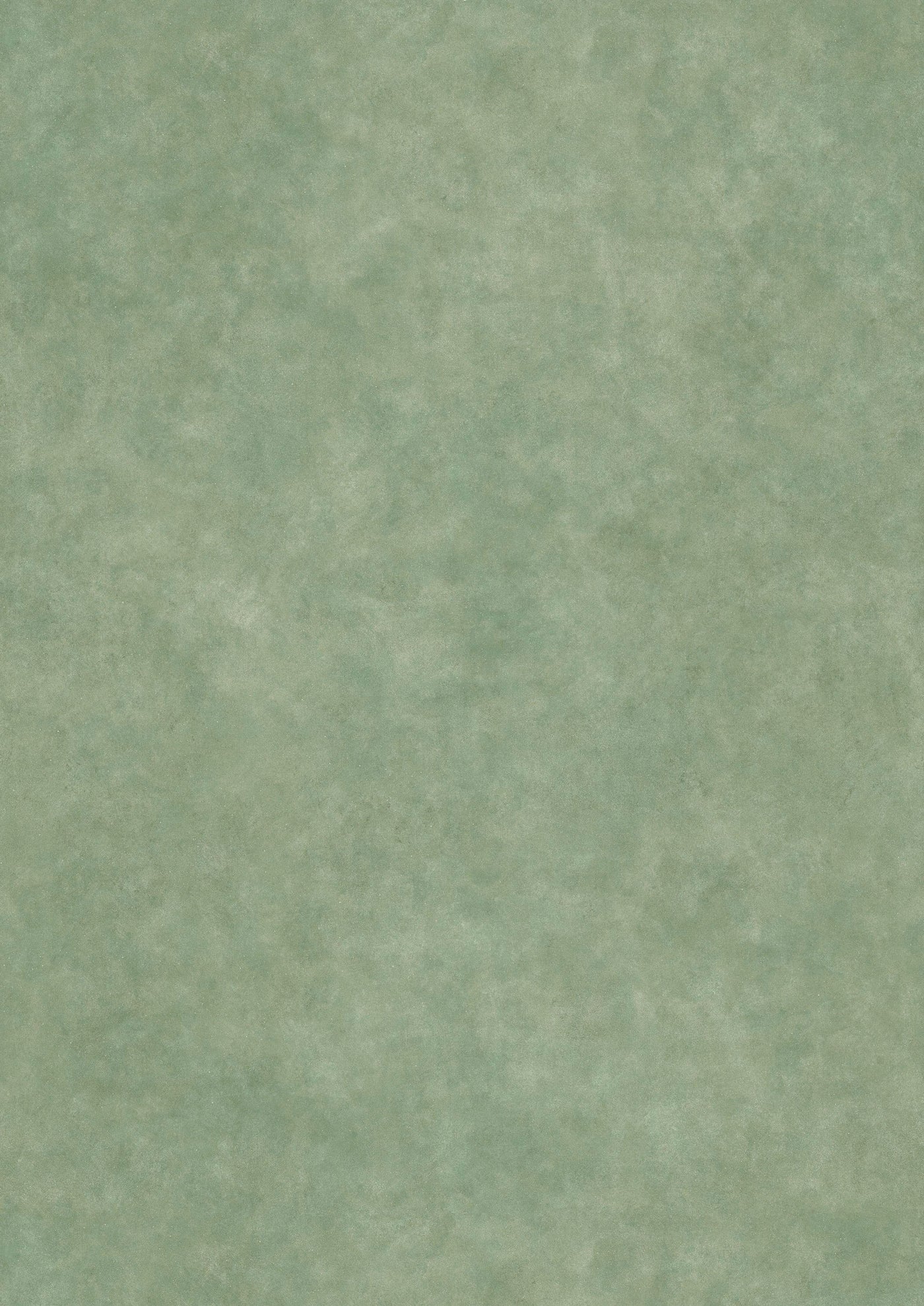 Turner's Texture Cactus – hel bredd — Lewis & Wood tapet