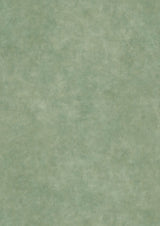 Turner's Texture Cactus – hel bredd — Lewis & Wood tapet