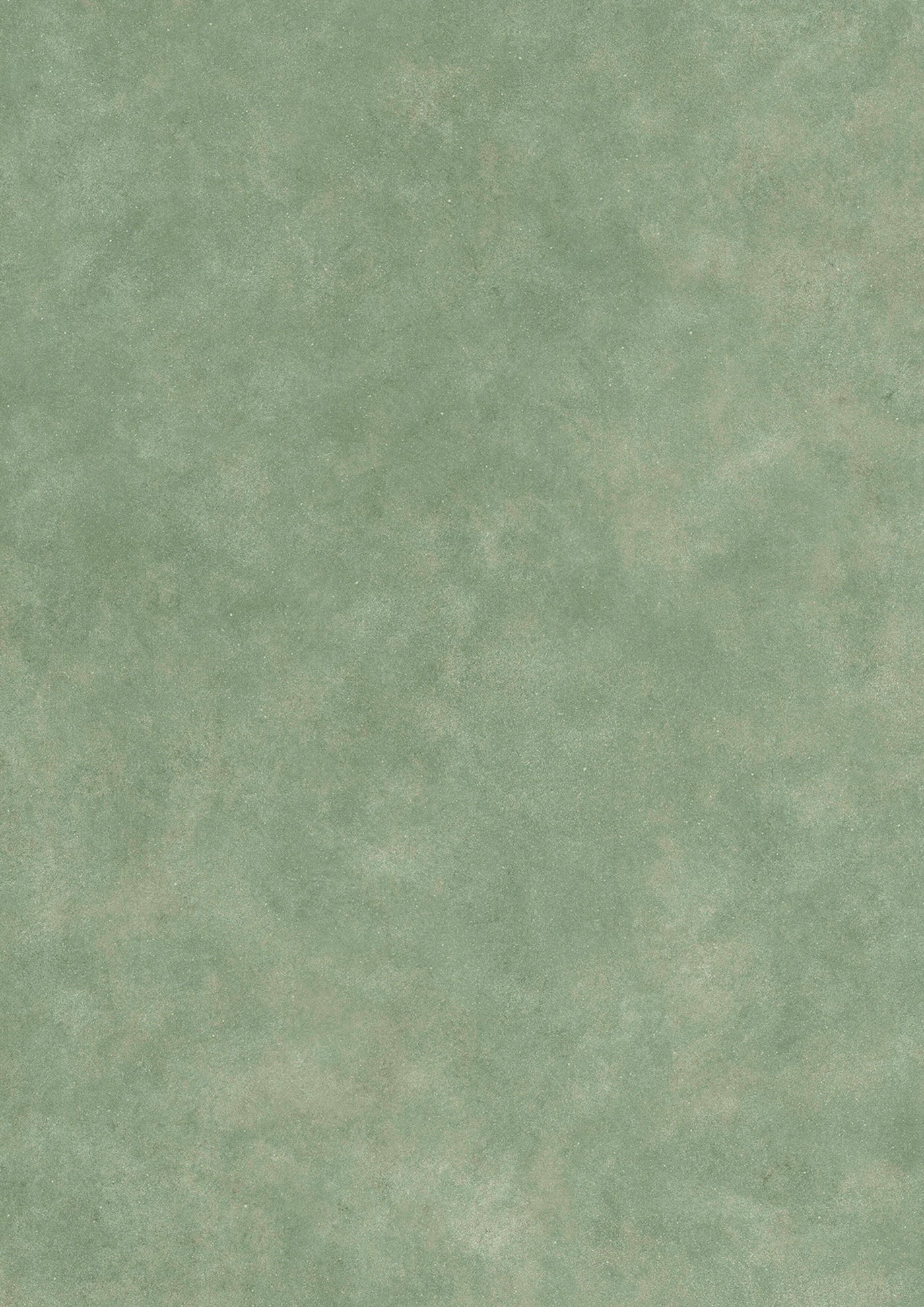 Turner's Texture Cactus – närbild — Lewis & Wood tapet