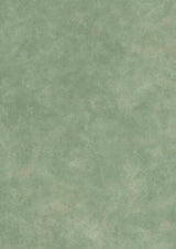 Turner's Texture Cactus – närbild — Lewis & Wood tapet