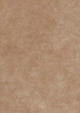 Turner's Texture Canyon – närbild — Lewis & Wood tapet
