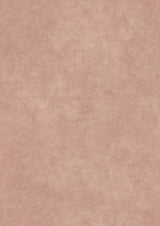 Turner's Texture Plaster – hel bredd — Lewis & Wood tapet