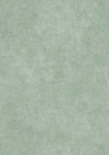 Turner's Texture Verdigris – hel bredd — Lewis & Wood tapet