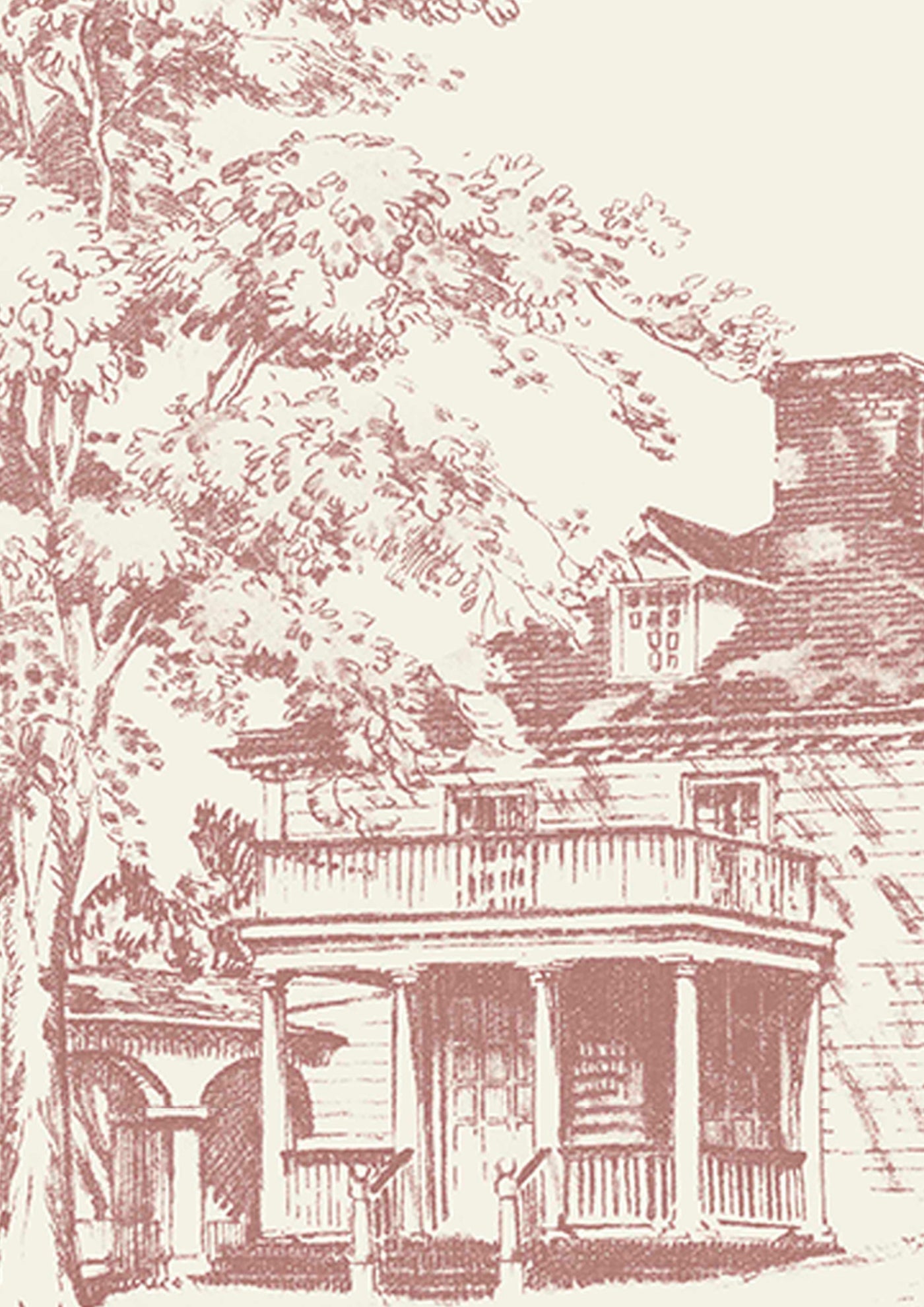 Washington Toile Tapetprov Cherry Blossom
