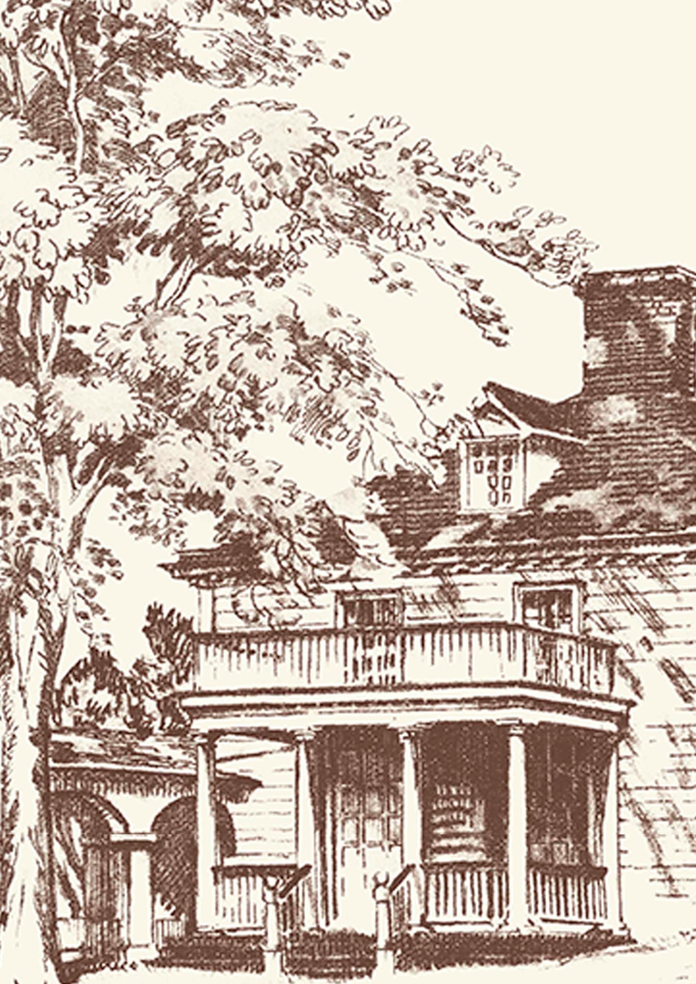 Washington Toile Library — Lewis & Wood tapet