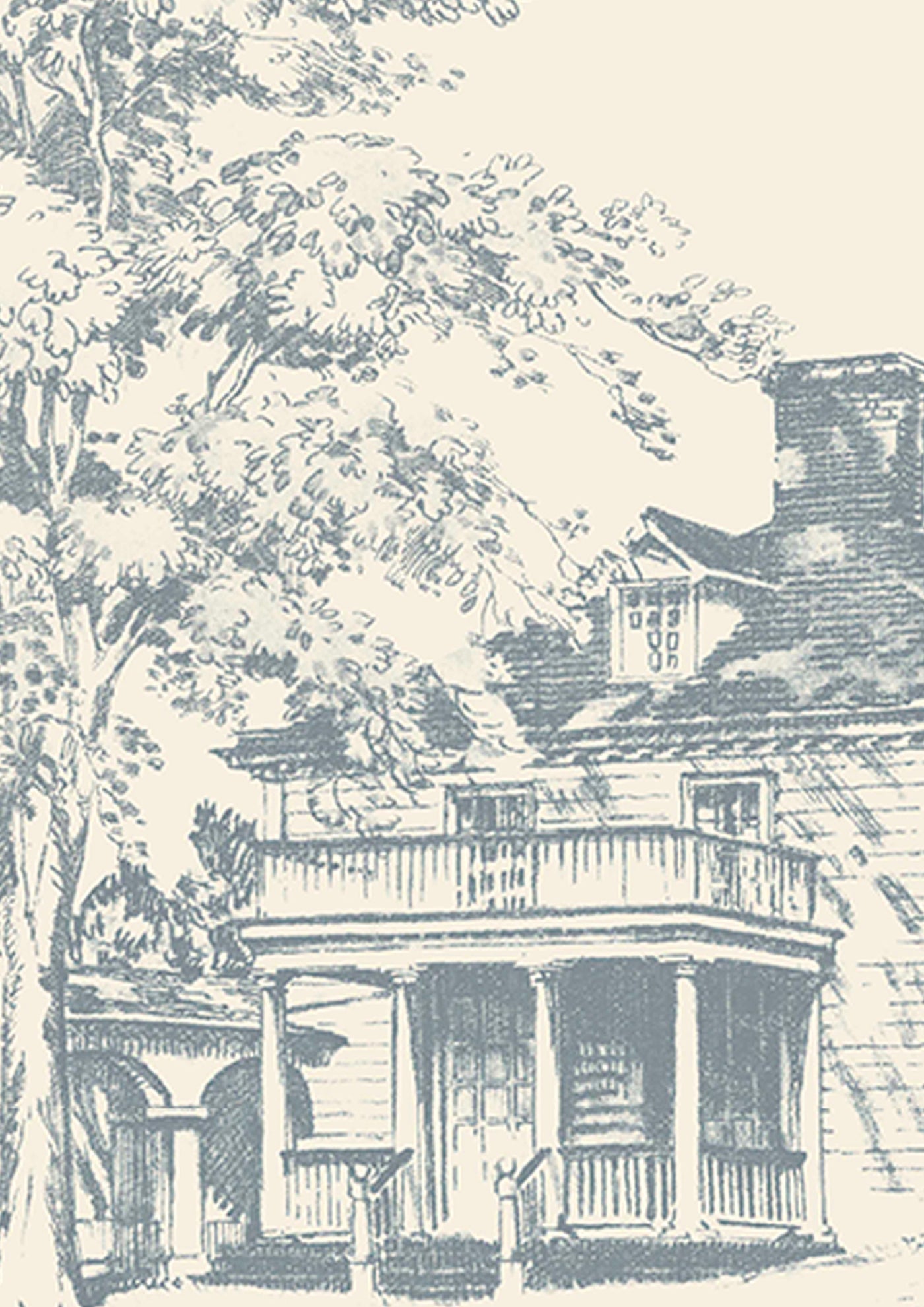 Washington Toile Tapetprov Potomac