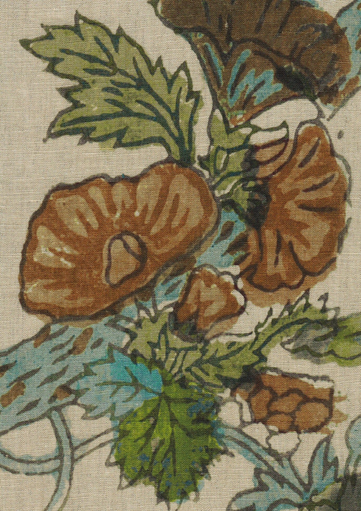Wild Thing Tygprov Ginger Kiwi