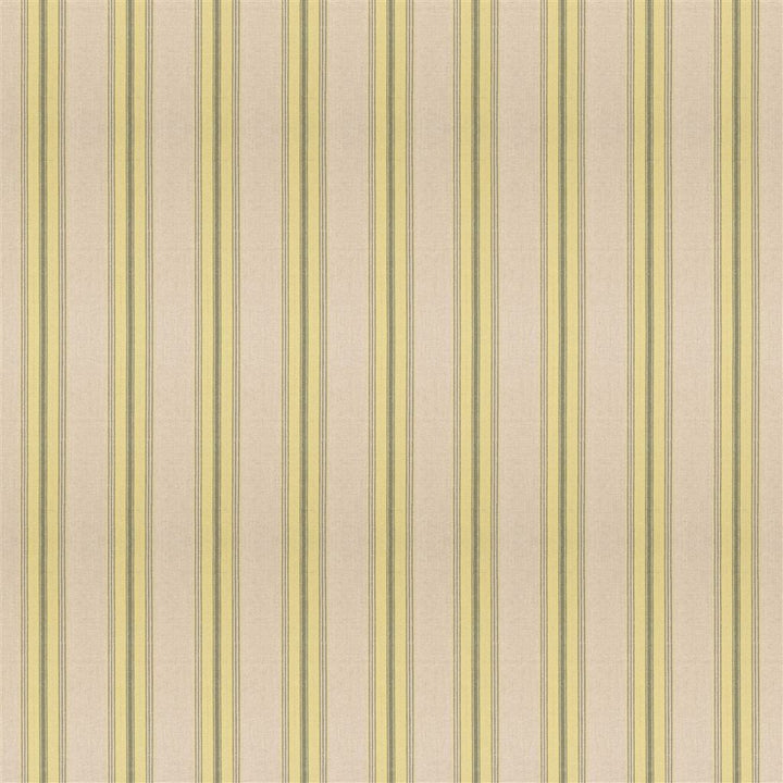 Loire Lime — Designers Guild tyg