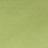 Mojave Grass — Designers Guild