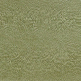 Mojave Olive — Designers Guild