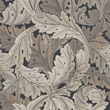 Acanthus Tapet Charcoal/Grey tapet fran Morris & Co
