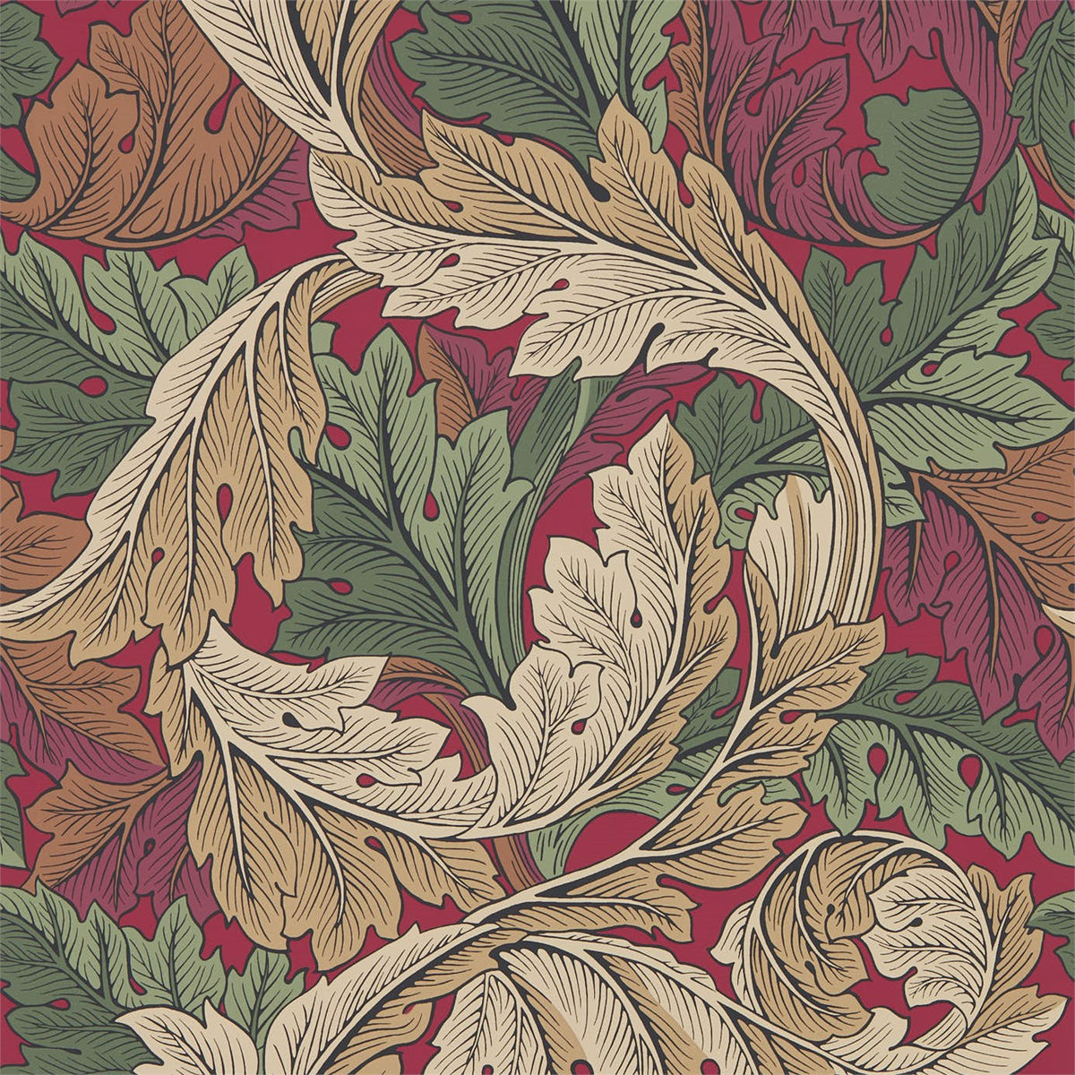 Acanthus Tapet Madder/Thyme tapet fran Morris & Co