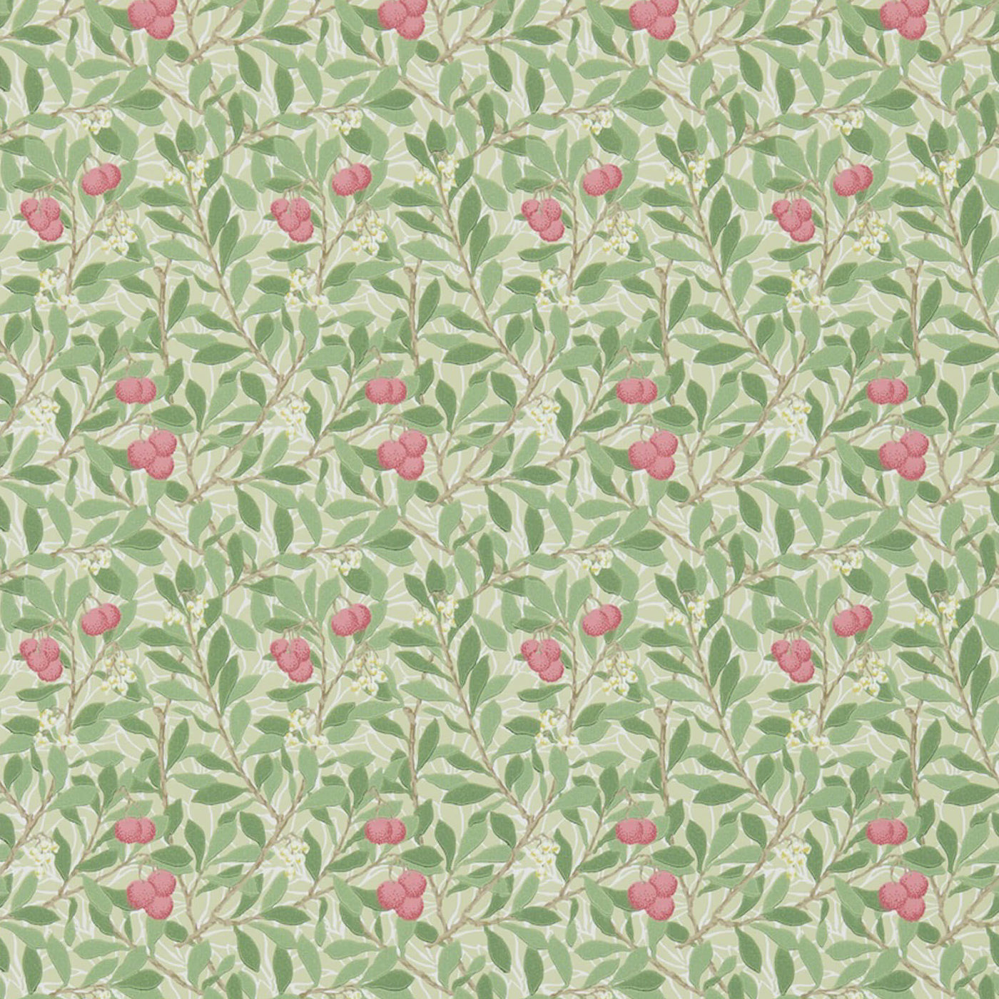 Arbutus Tapet Olive/Pink