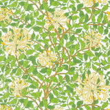 Honeysuckle Tapet Cream/Chocolate tapet fran Morris & Co