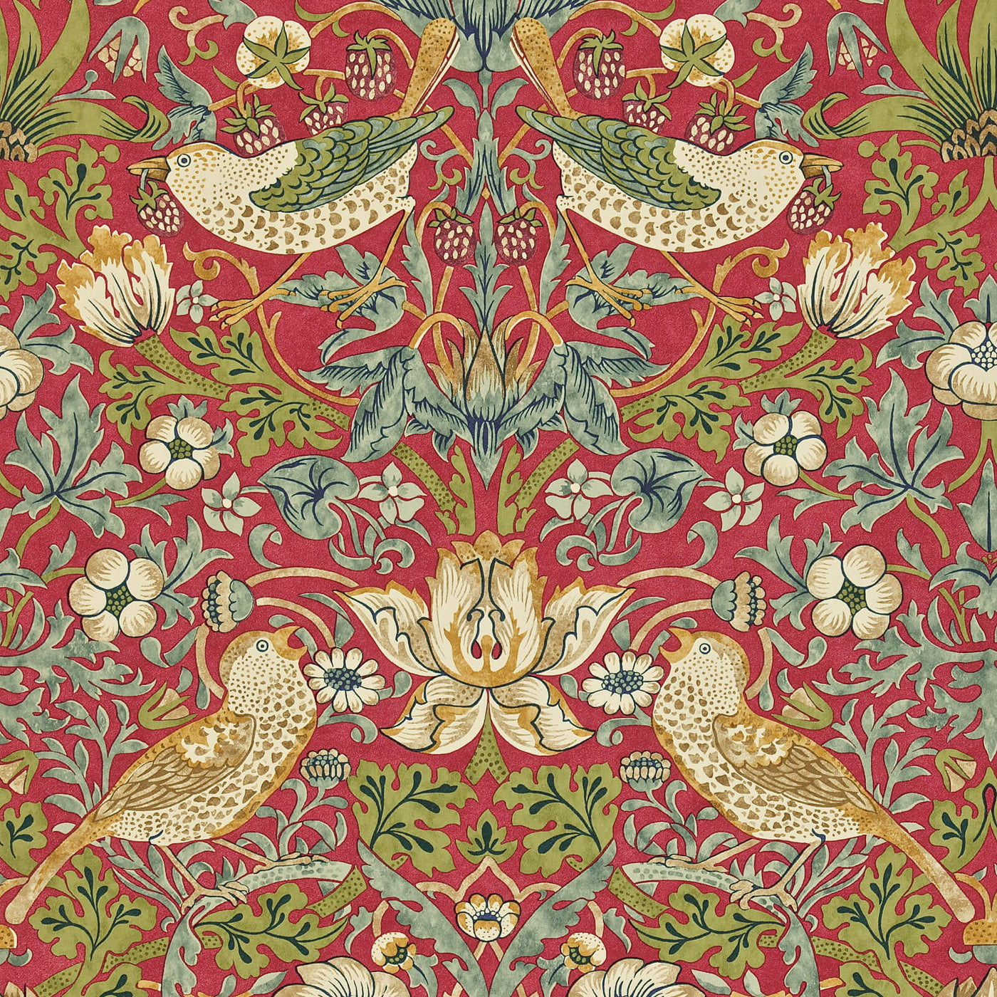Strawberry Thief Tapet Crimson/Slate tapet fran Morris & Co