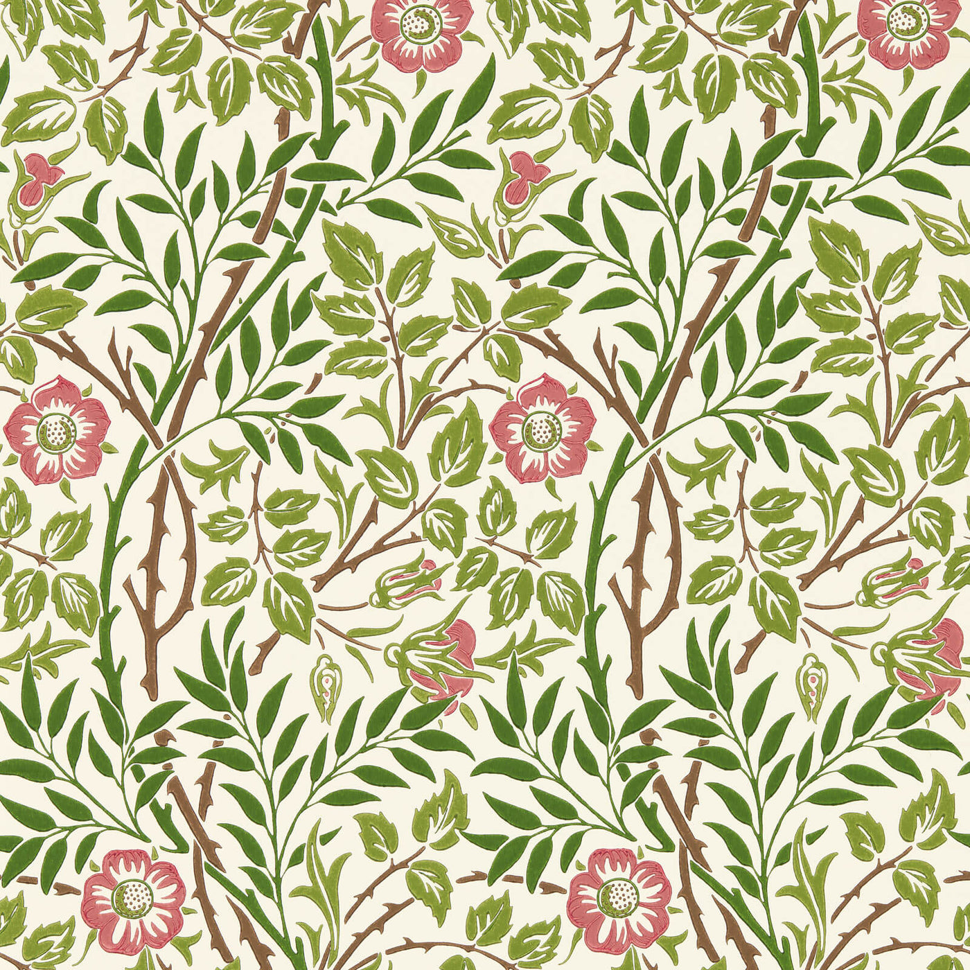 Sweet Briar Tapet Boughs/Rose tapet fran Morris & Co