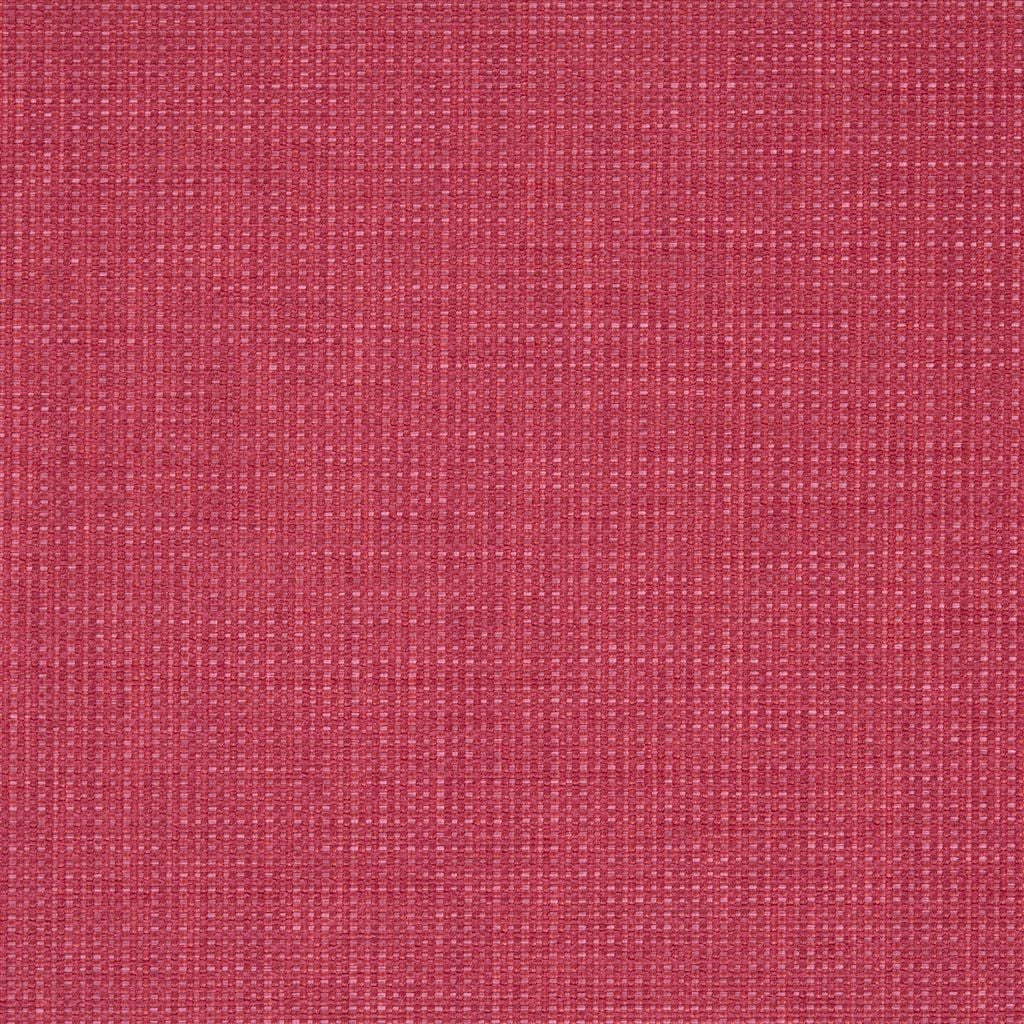 Morvern Begonia — Designers Guild