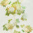 White/Cream/Green
