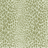 Bagatelle Weave Beige/Ivory — Nina Campbell tyg