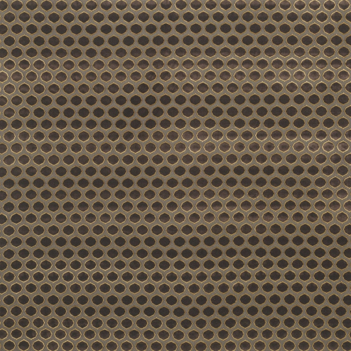 Gioconda Chocolate/Gold — Nina Campbell tyg