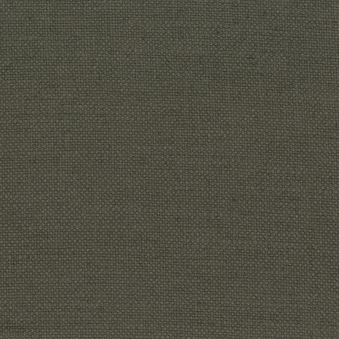 Colette Taupe — Nina Campbell tyg