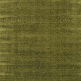 Mourlot Green — Nina Campbell tyg
